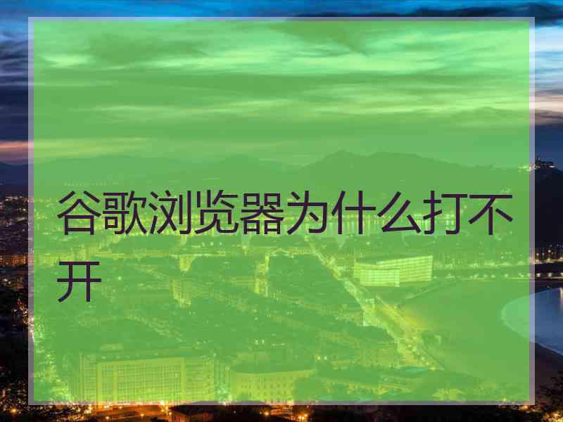 谷歌浏览器为什么打不开