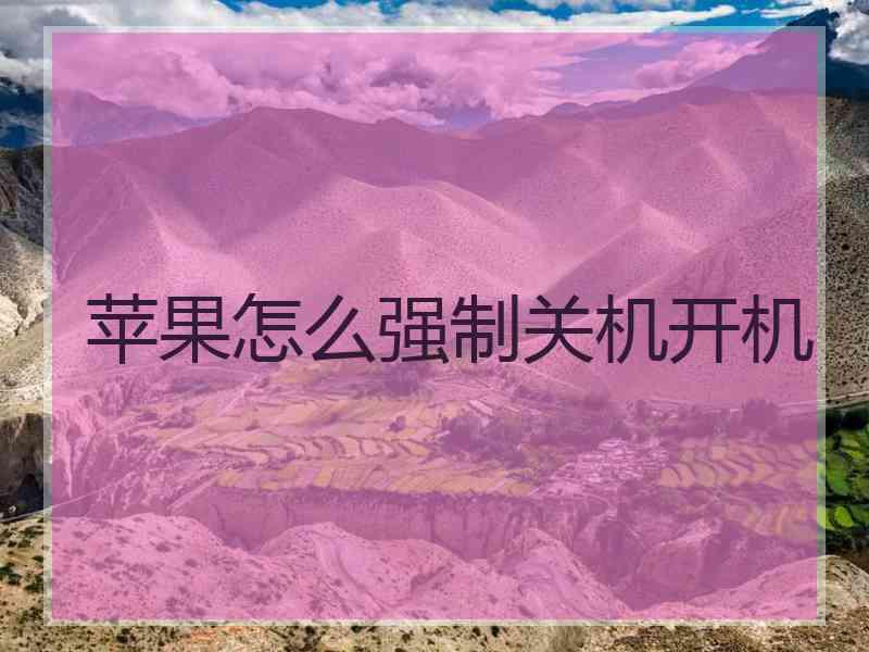 苹果怎么强制关机开机