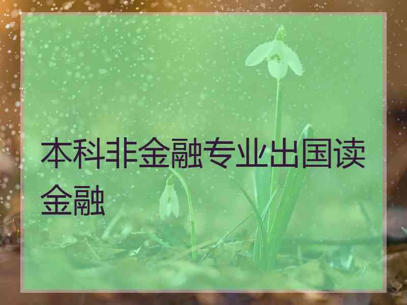 本科非金融专业出国读金融