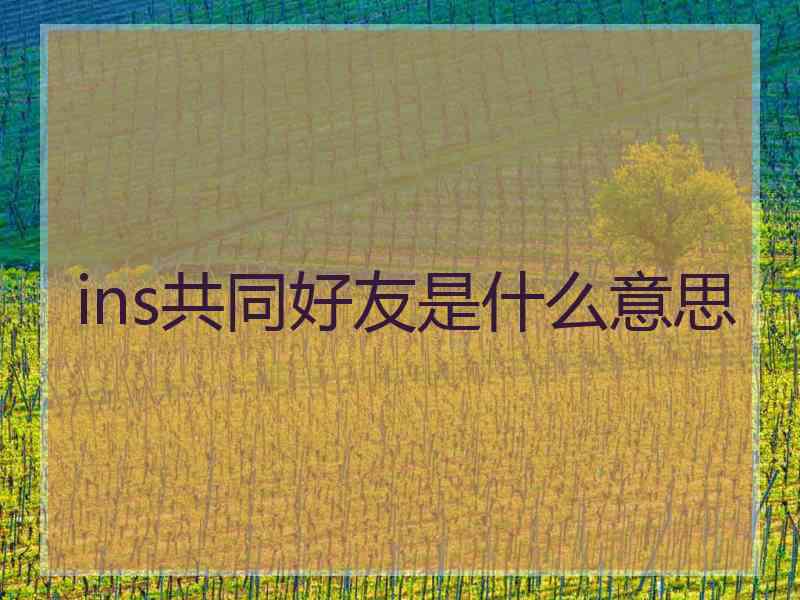 ins共同好友是什么意思