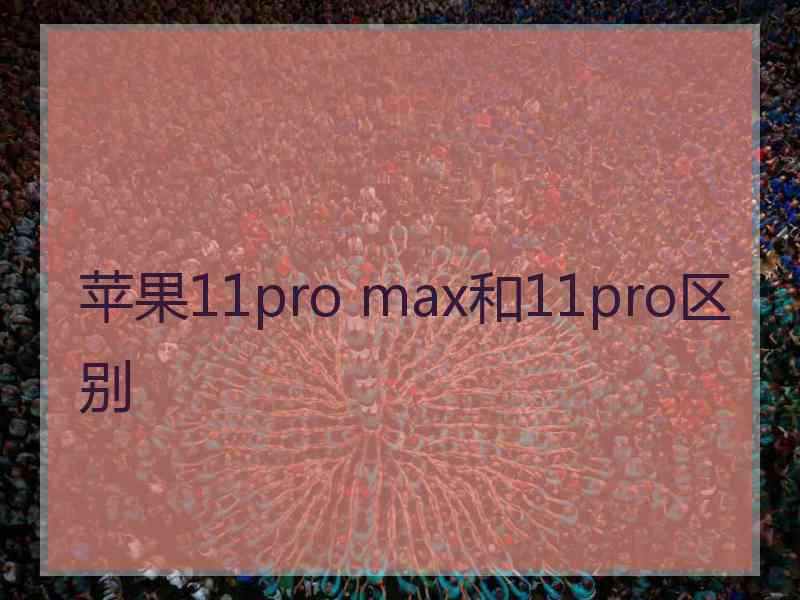 苹果11pro max和11pro区别