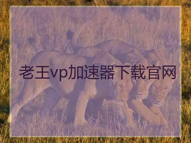 老王vp加速器下载官网