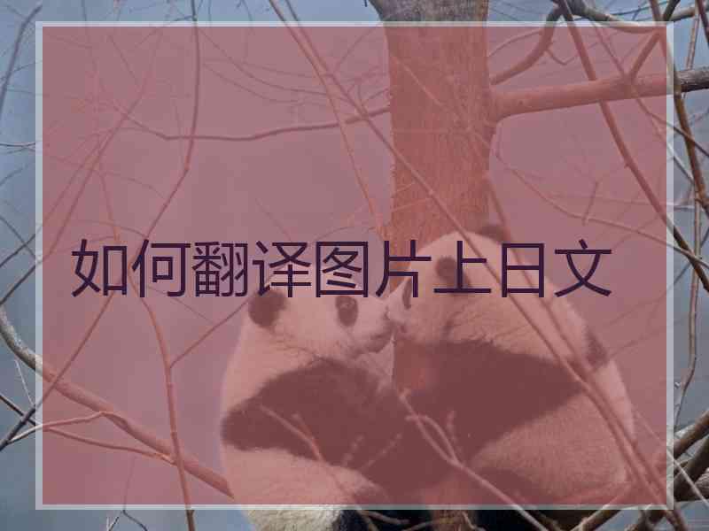 如何翻译图片上日文