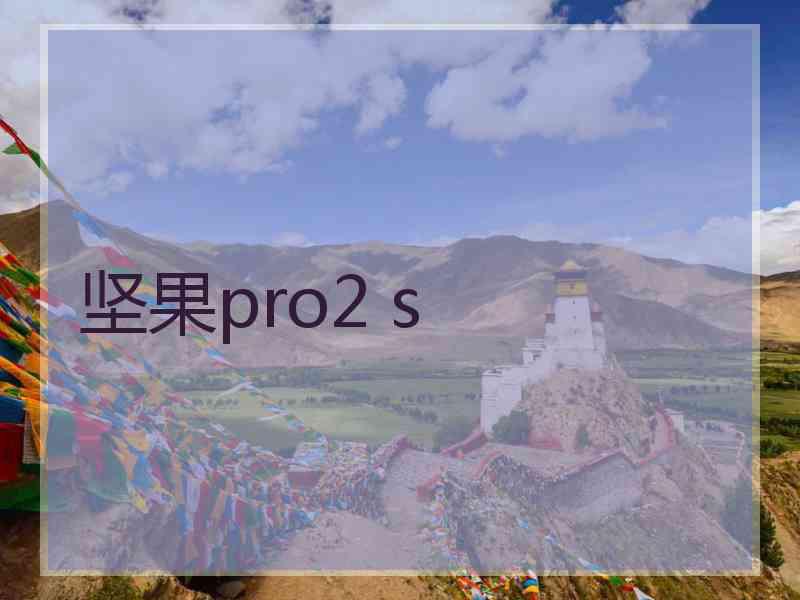 坚果pro2 s