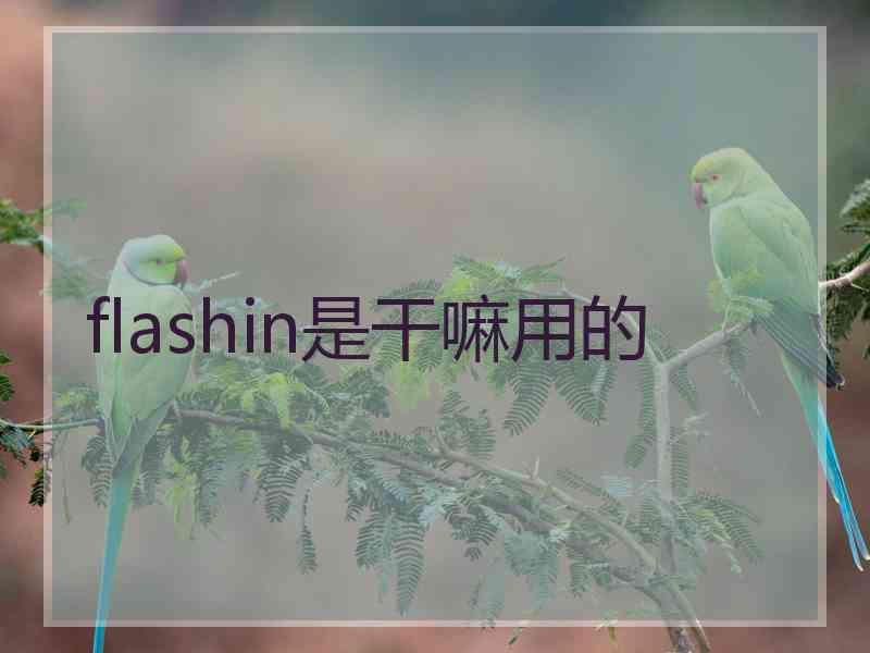 flashin是干嘛用的