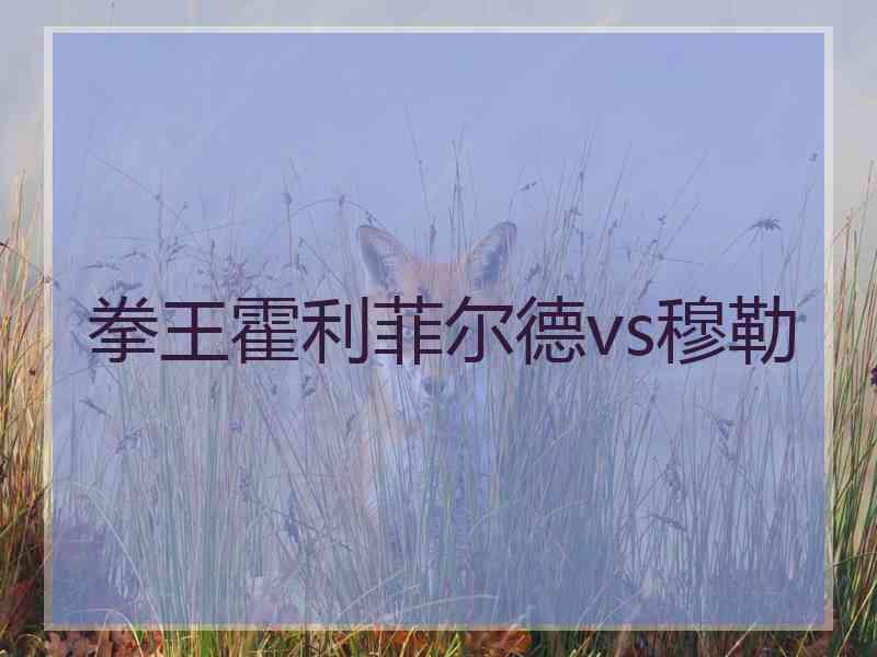 拳王霍利菲尔德vs穆勒