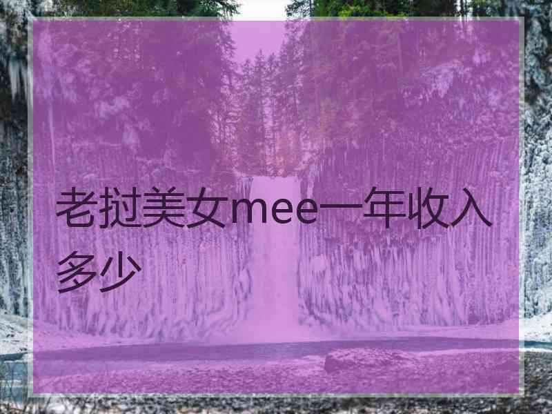 老挝美女mee一年收入多少