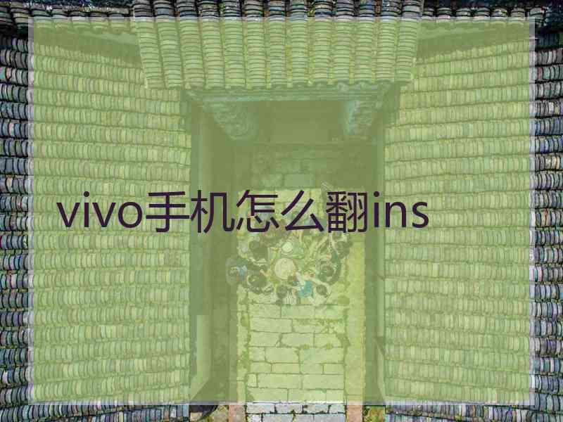 vivo手机怎么翻ins