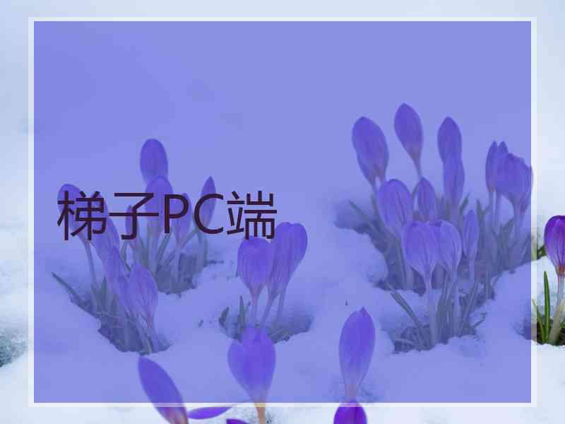 梯子PC端