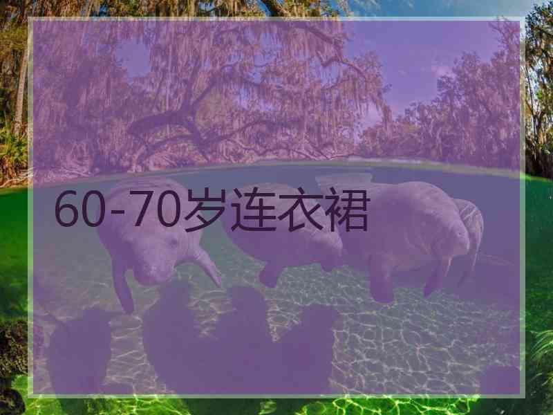 60-70岁连衣裙