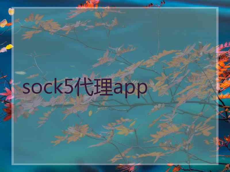 sock5代理app