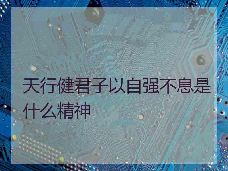 天行健君子以自强不息是什么精神