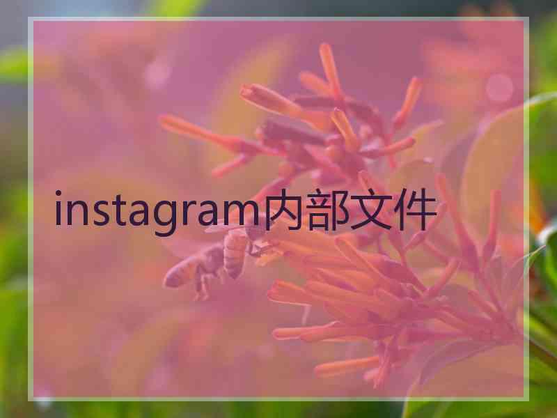 instagram内部文件