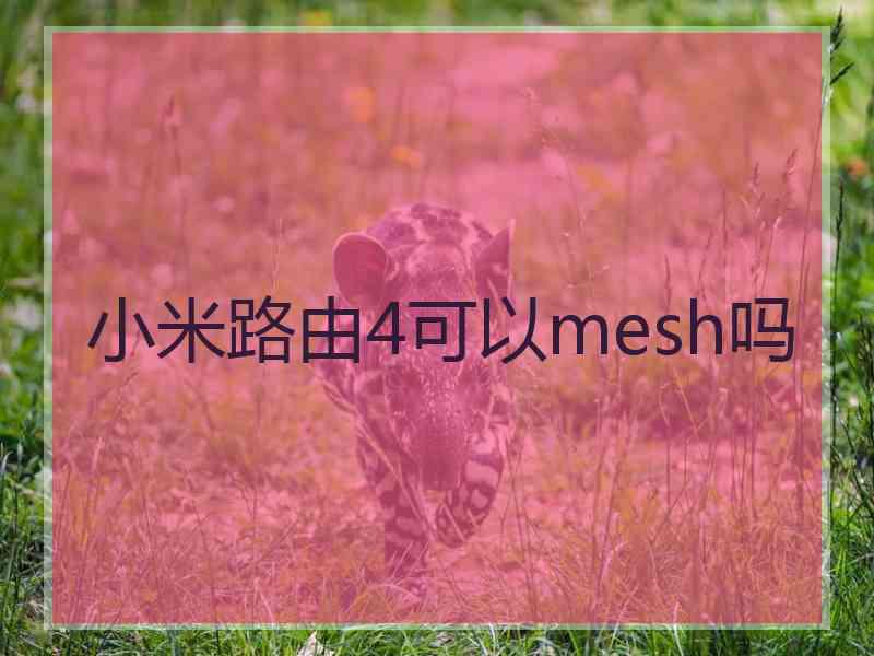 小米路由4可以mesh吗