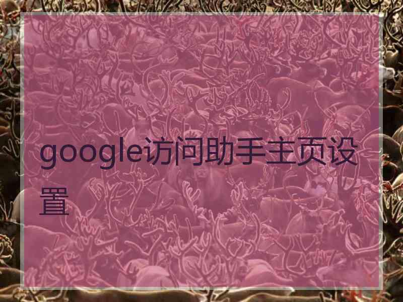 google访问助手主页设置