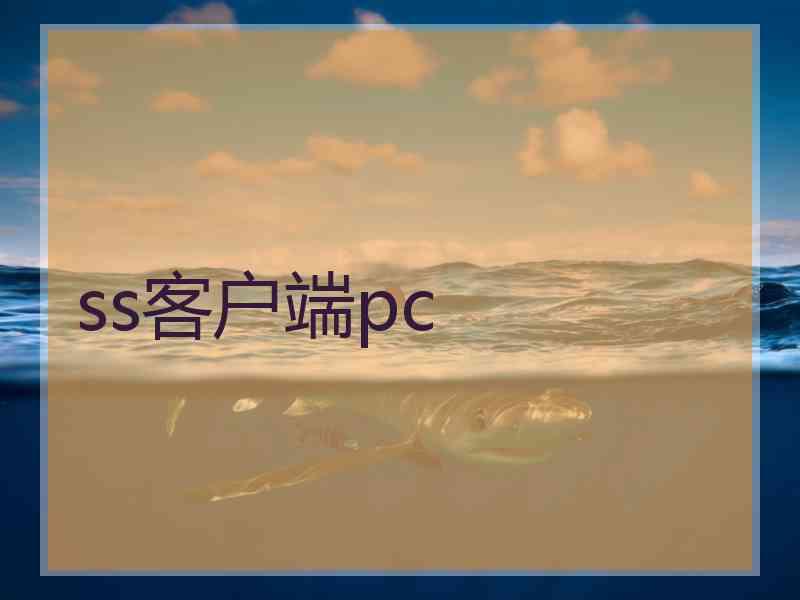 ss客户端pc