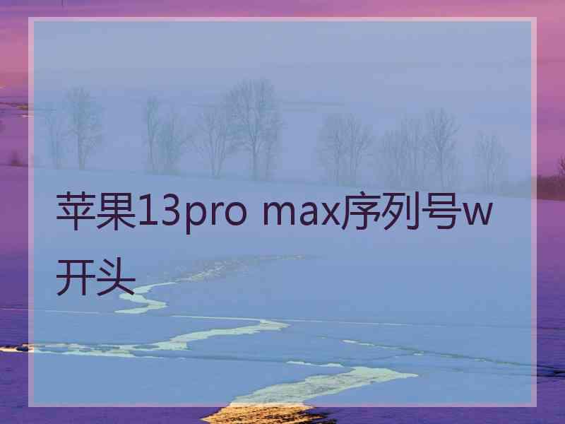 苹果13pro max序列号w开头