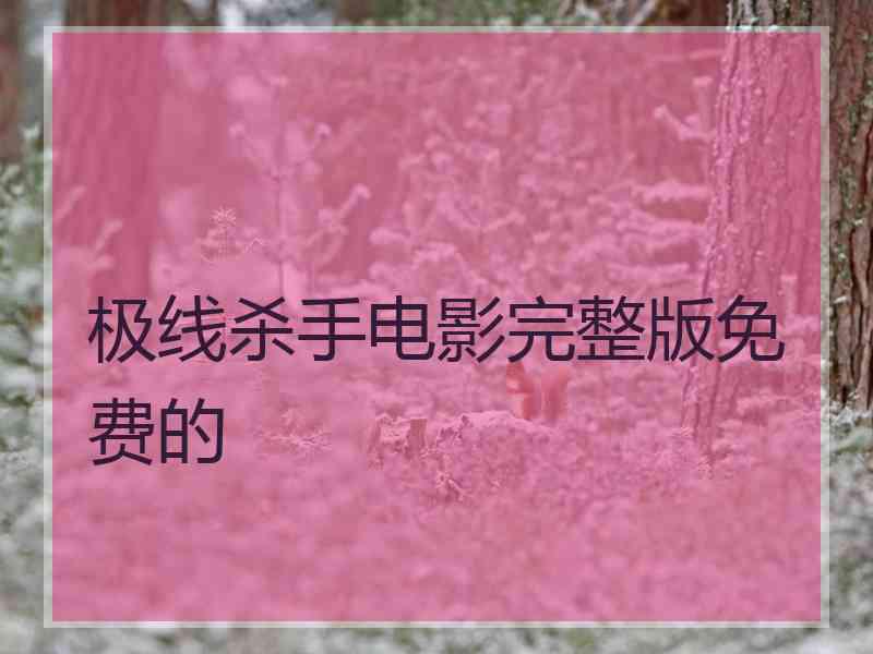 极线杀手电影完整版免费的