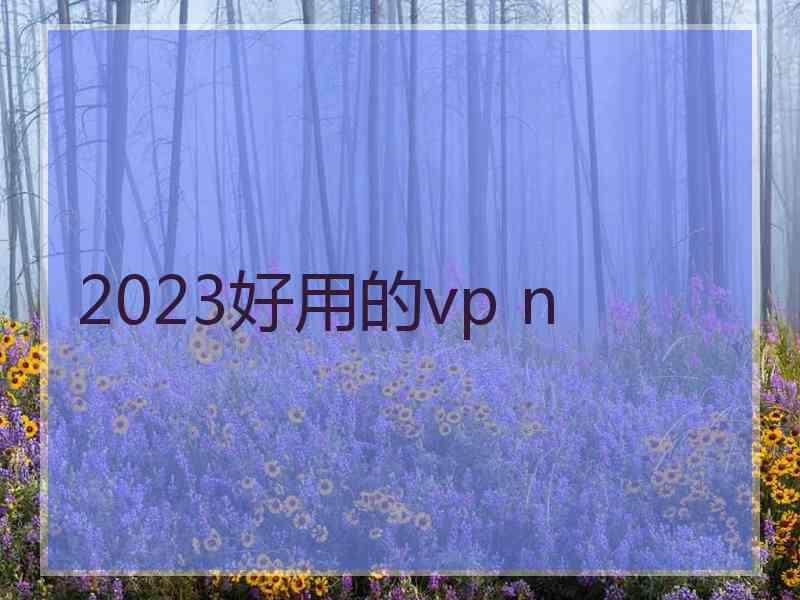 2023好用的vp n