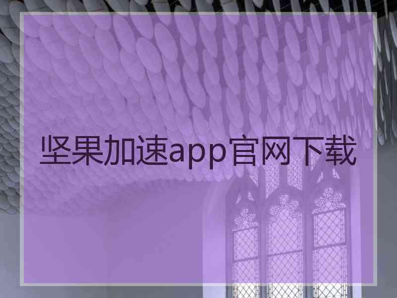 坚果加速app官网下载