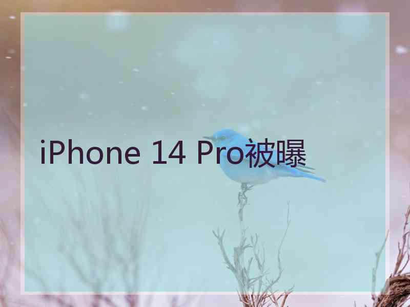 iPhone 14 Pro被曝