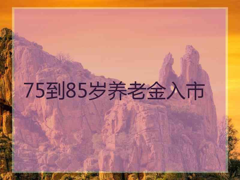 75到85岁养老金入市