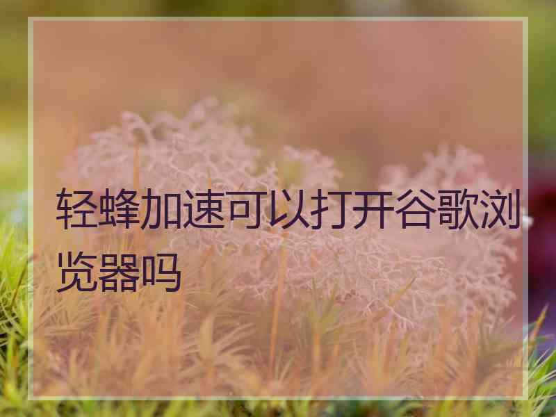 轻蜂加速可以打开谷歌浏览器吗