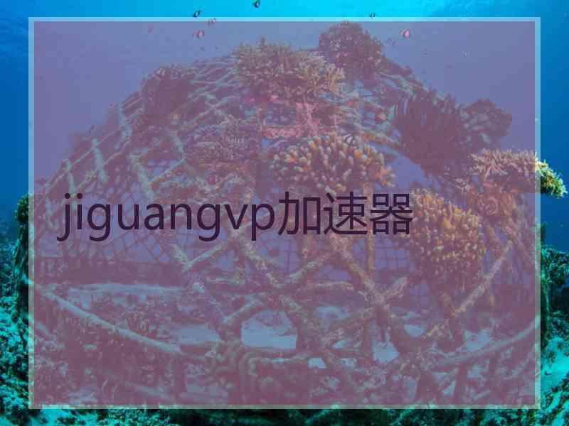 jiguangvp加速器