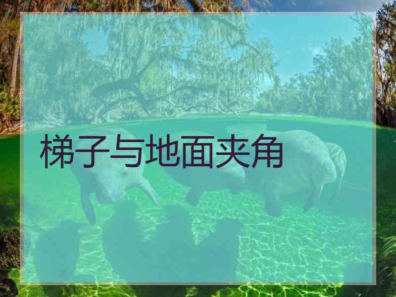 梯子与地面夹角