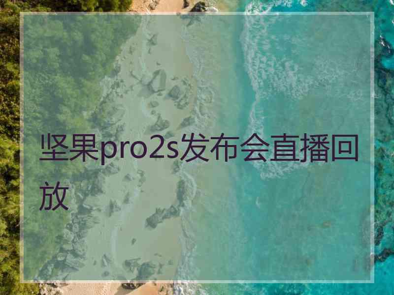 坚果pro2s发布会直播回放