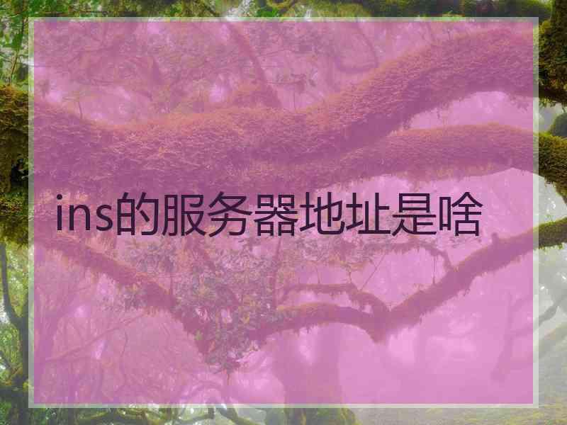 ins的服务器地址是啥