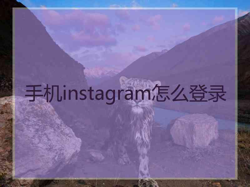 手机instagram怎么登录