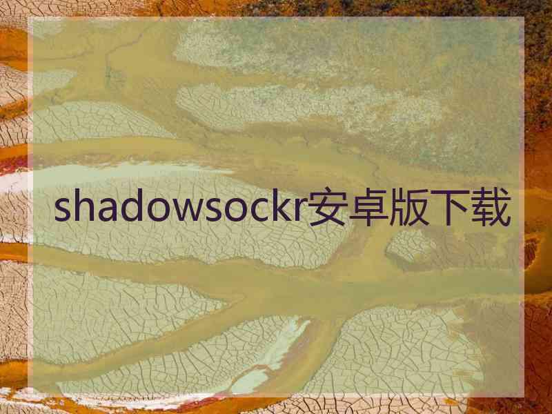 shadowsockr安卓版下载