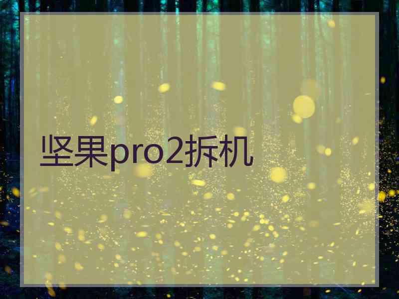 坚果pro2拆机