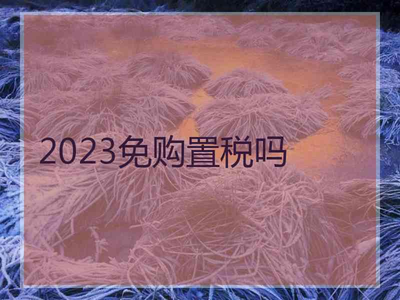 2023免购置税吗