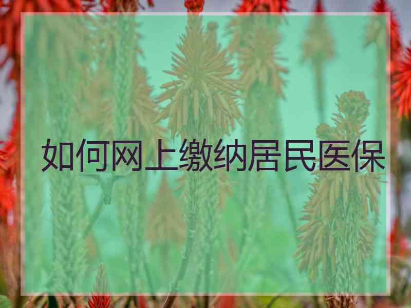 如何网上缴纳居民医保