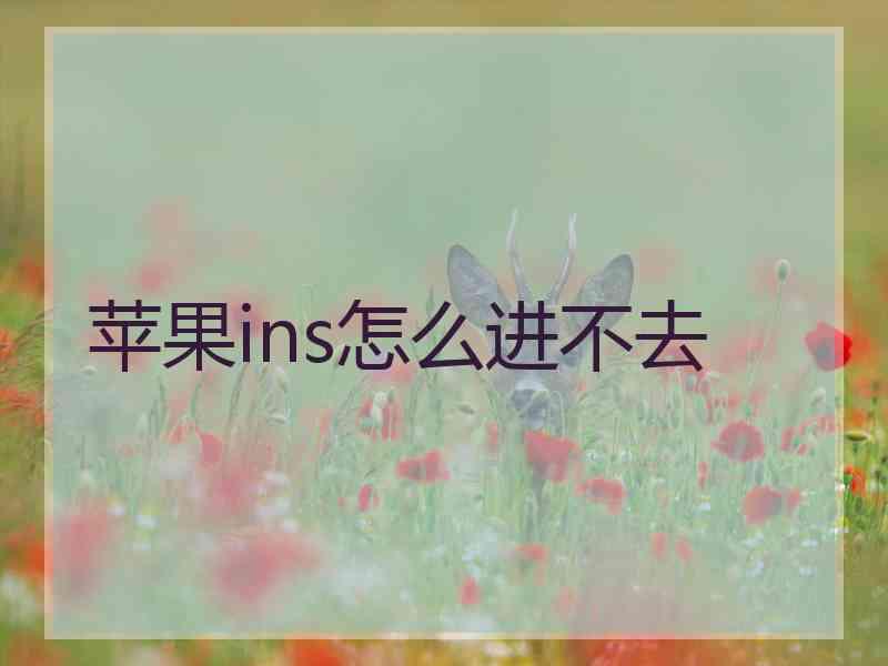 苹果ins怎么进不去