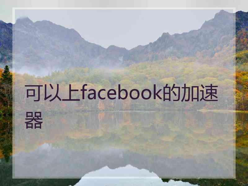 可以上facebook的加速器