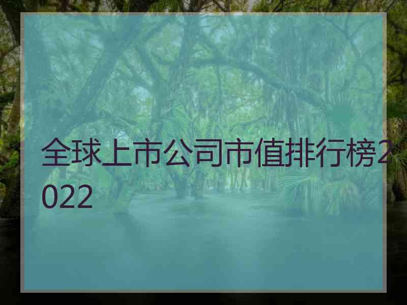 全球上市公司市值排行榜2022